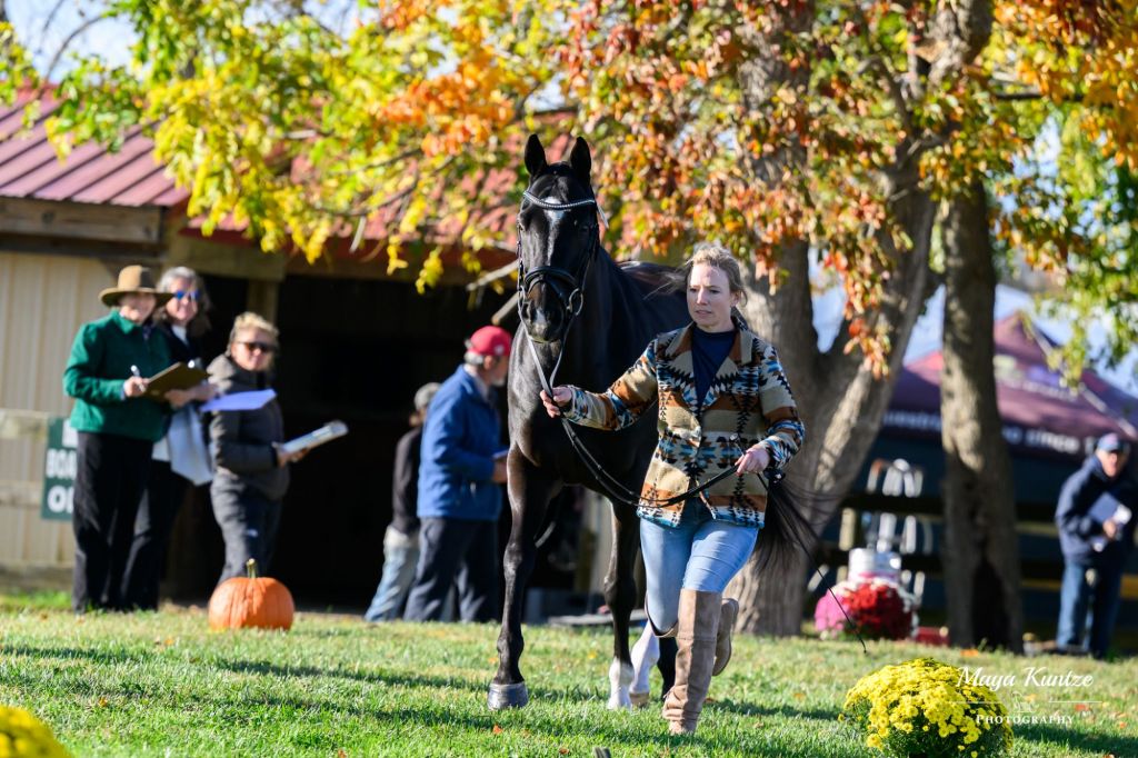Classic: Day 2 & Officially Kicking Off the Waredaca Classic Three Day Event