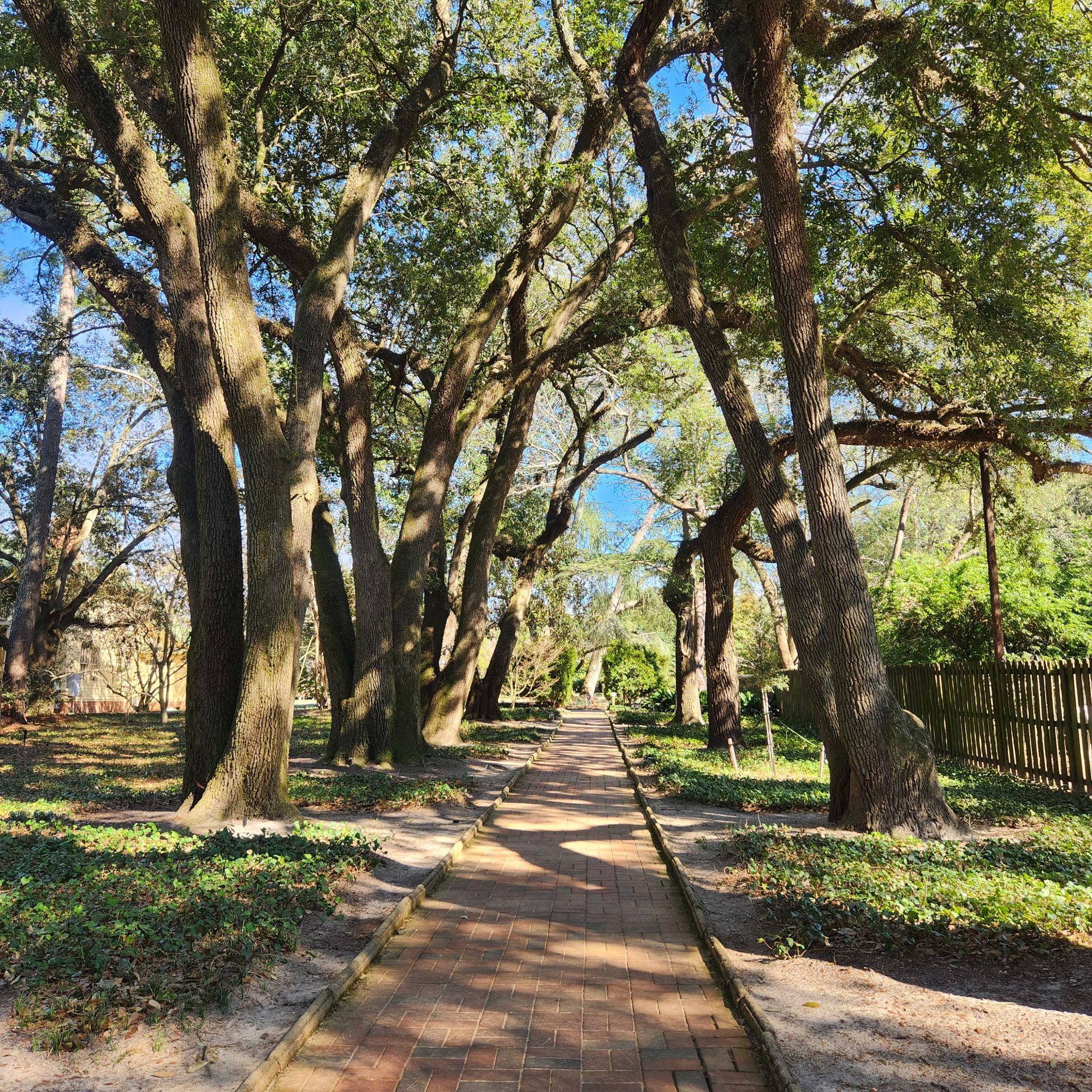 Updates From Aiken; Exploring Aiken’s Dining and Horse Centric Town and Focusing on&nbsp;Growth