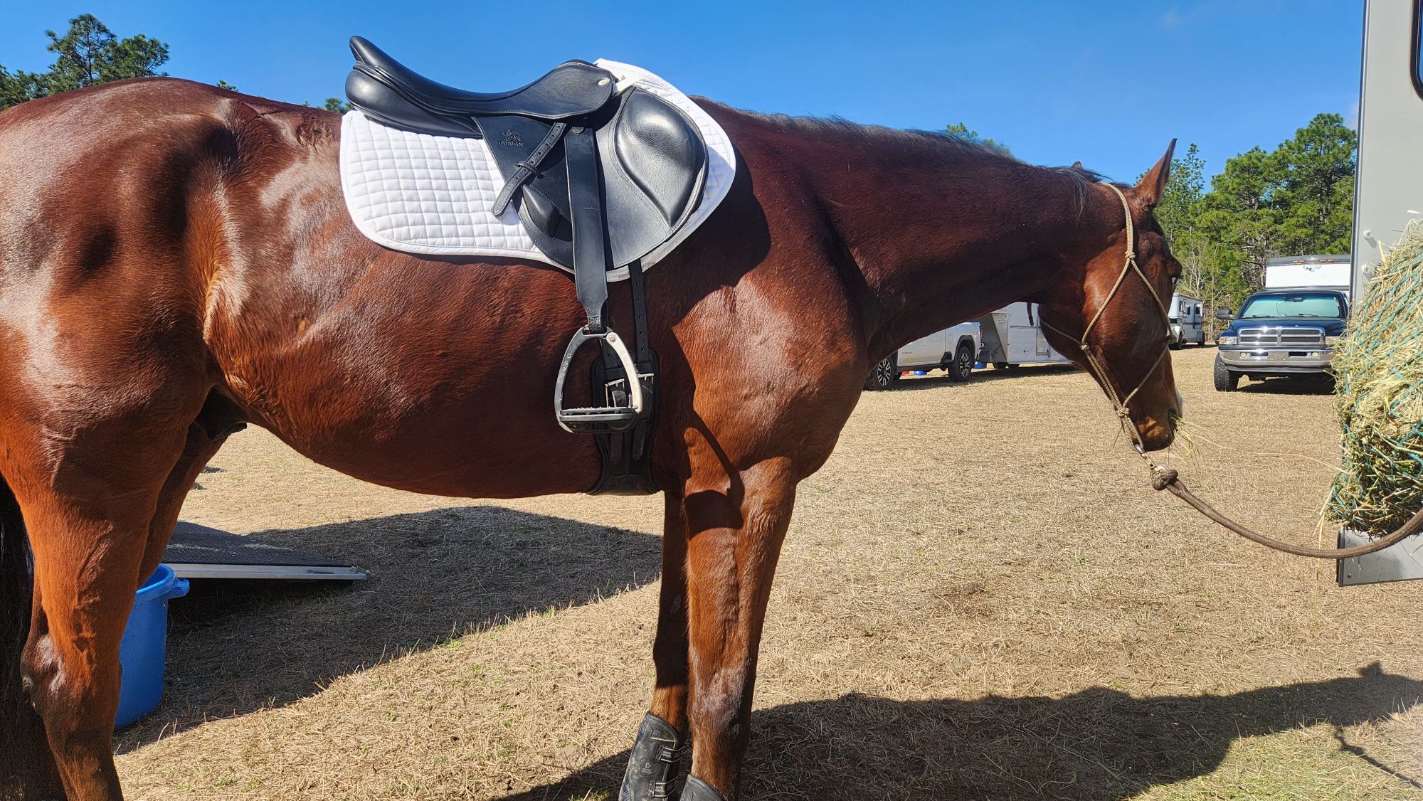 Trailering With the Saddle&nbsp;On