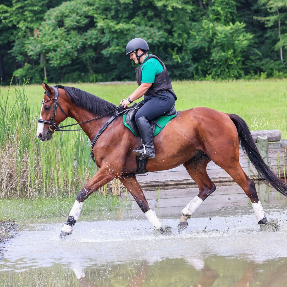 Summertime Schooling